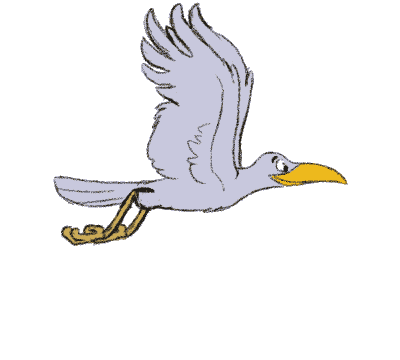 Möwe
